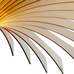 Suspensions><noscript><img width=