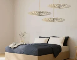 Suspensions><noscript><img width=