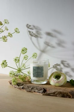 Bougies>Camif Bougie parfumée À l'ombre des tilleuls