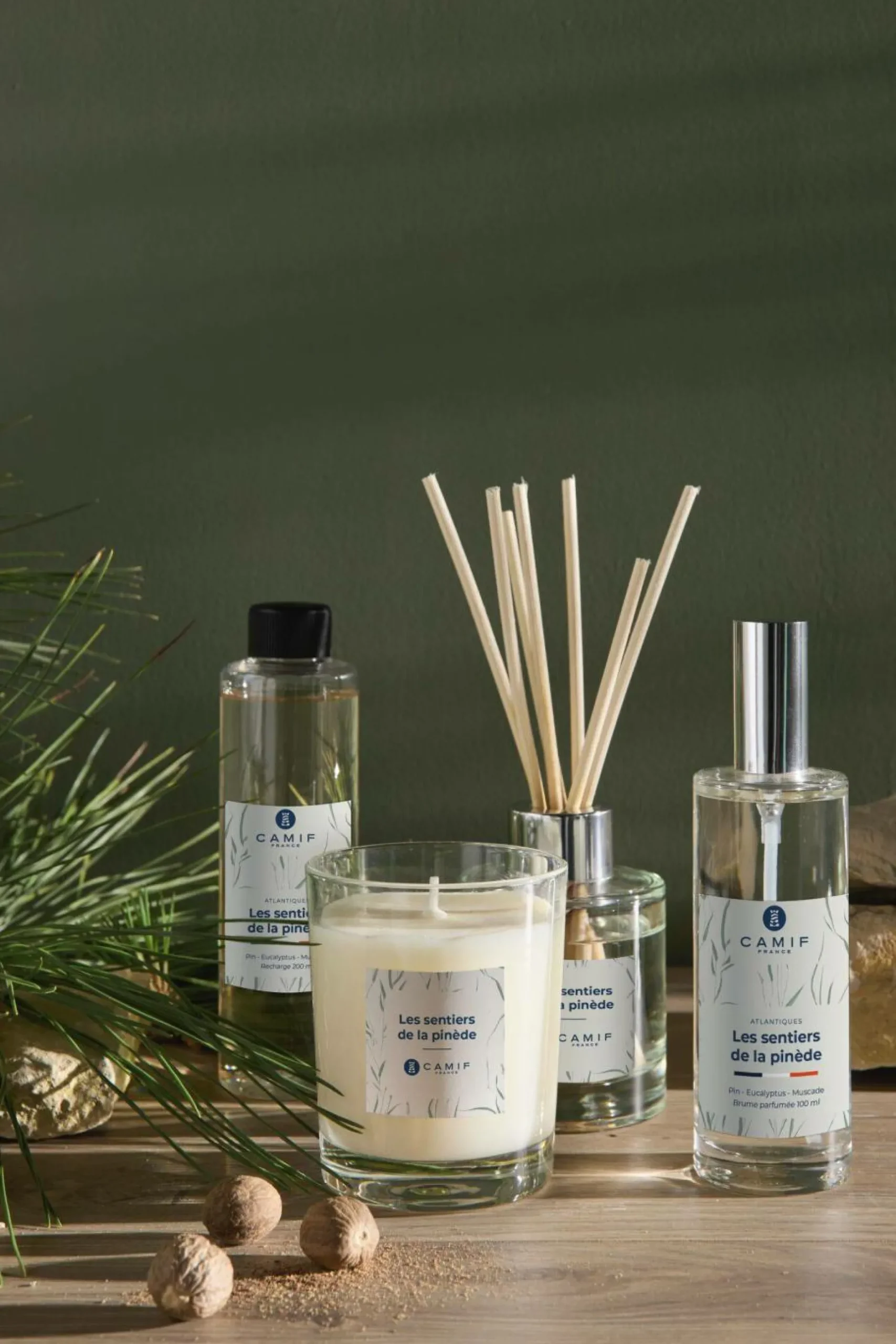 Bougies>Camif Bougie parfumée Les sentiers de la pinède