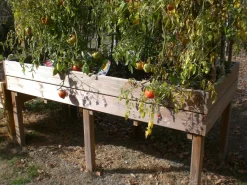 Carrés De Potager><noscript><img width=