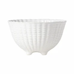 Bols|Bols><noscript><img width=