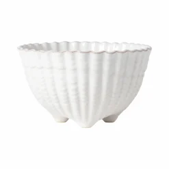 Bols|Bols><noscript><img width=