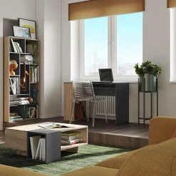 Bureaux><noscript><img width=