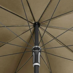 Parasols><noscript><img width=