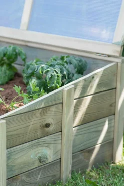Carrés De Potager><noscript><img width=