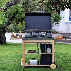 Planchas>Camif ENO Plancha Fusion Gaz 75 - Inox