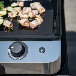 Planchas><noscript><img width=