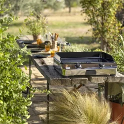 Planchas>Camif ENO Plancha Fusion Gaz 60 en Inox