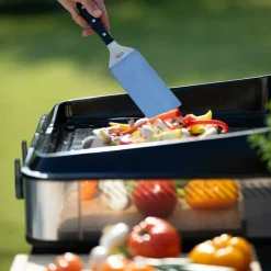 Planchas><noscript><img width=