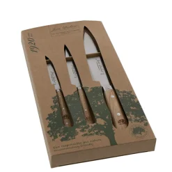 Couteaux De Cuisine>Camif JEAN DUBOST Coffret de 3 couteaux de cuisine manche chêne