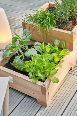 Carrés De Potager><noscript><img width=