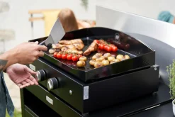 Planchas><noscript><img width=