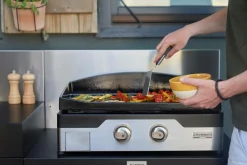 Planchas><noscript><img width=