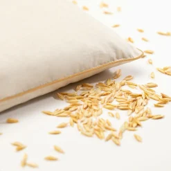 Oreillers|Oreillers>Camif MILLE OREILLERS Oreiller ferme petit épeautre biologique - 60 x 60 cm