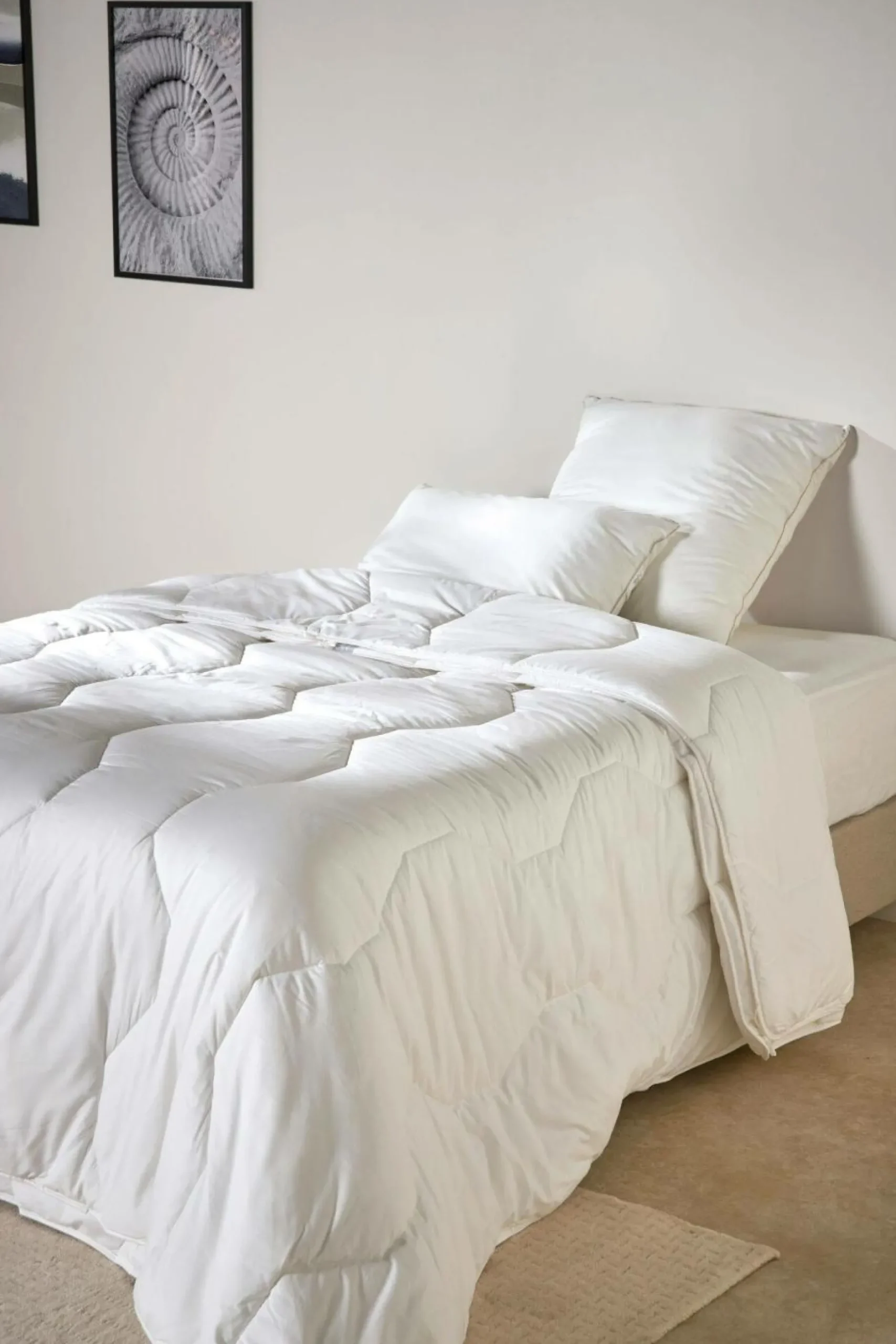 Oreillers|Oreillers>Camif Oreiller anti-acariens phytocare Louna - Ferme - 65 x 65 cm