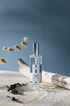 Vaporisateurs Et Diffuseurs>Camif Vaporisateur Baignade à Oléron